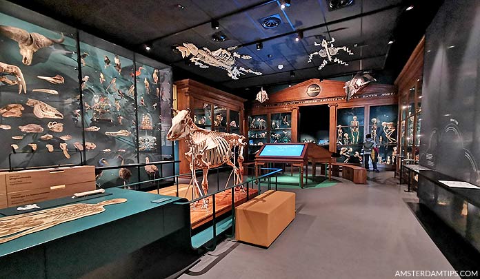 universiteit museum utrecht exhibit