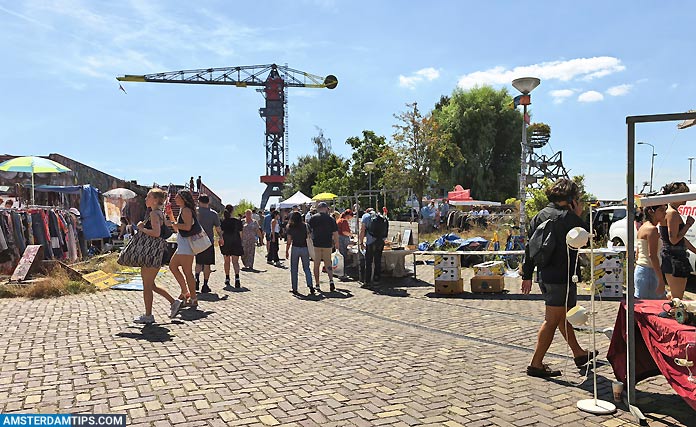 ij hallen market visitors in amsterdam