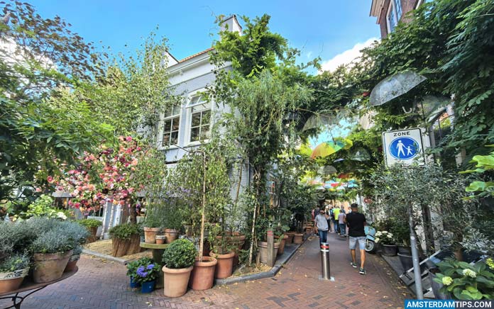 middelburg - reigerstraat and huis van bloemen (house of flowers)