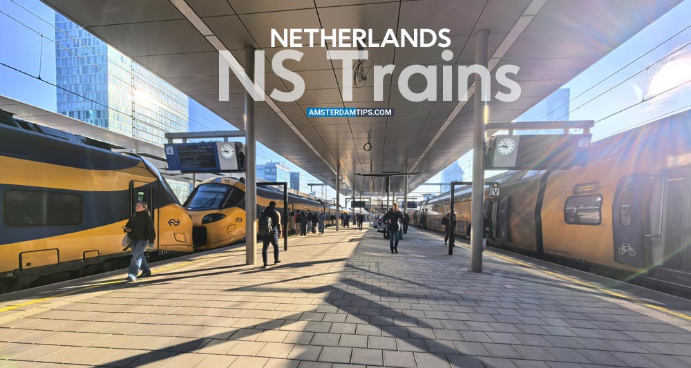ns trains guide